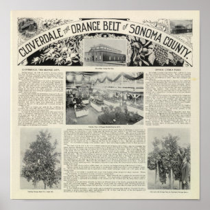 Cloverdale, California Poster