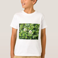 Clovers and Flowers