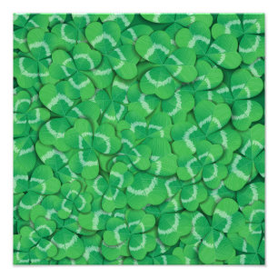Clovers Photo Print