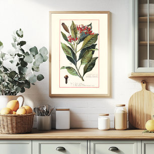 CLOVES - VINTAGE BOTANICAL ILLUSTRATION POSTER