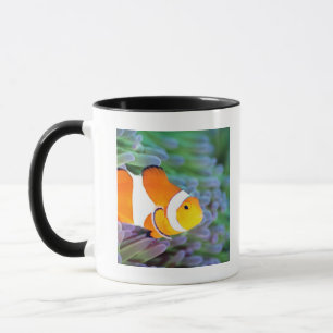Clown anemonefish mug