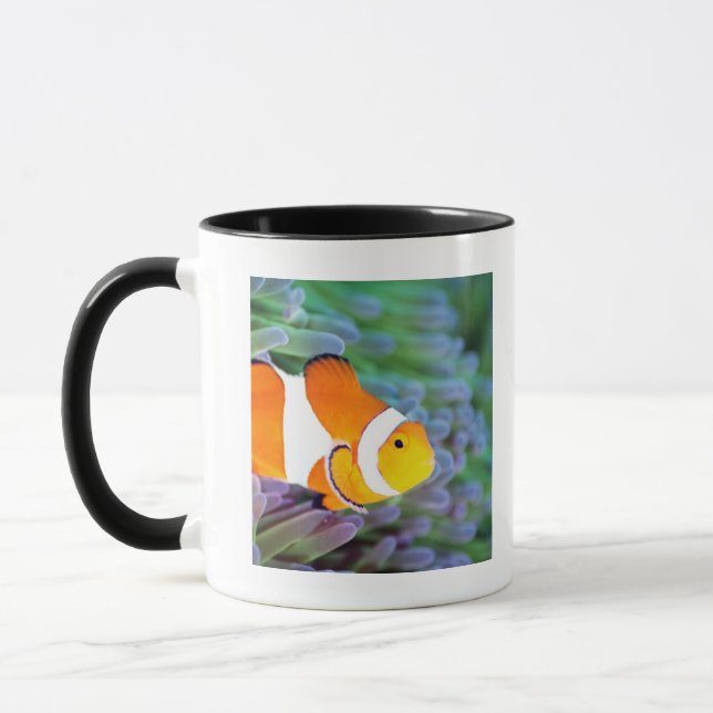 Clown anemonefish mug (Left)
