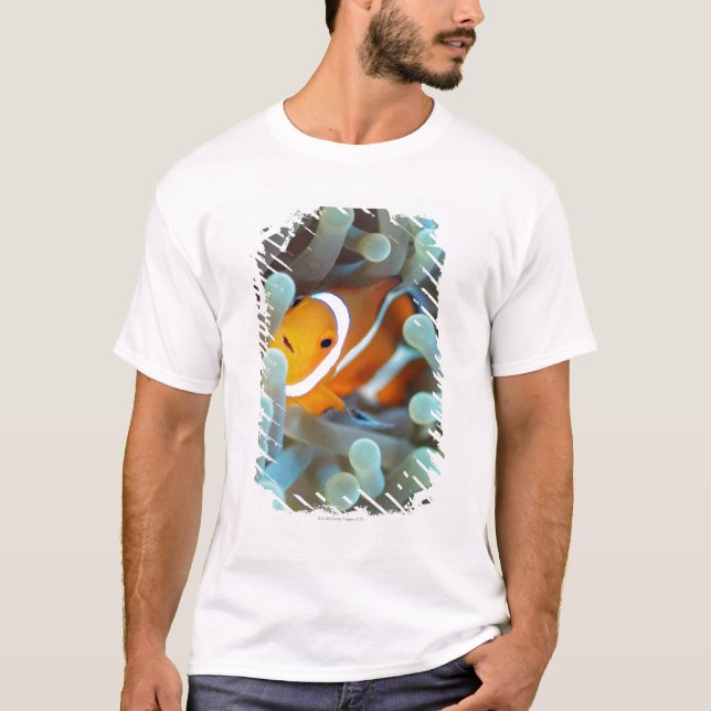 Clown Anemonefish T-Shirt (Front)