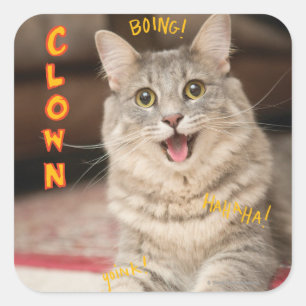 Clown Cat Square Sticker