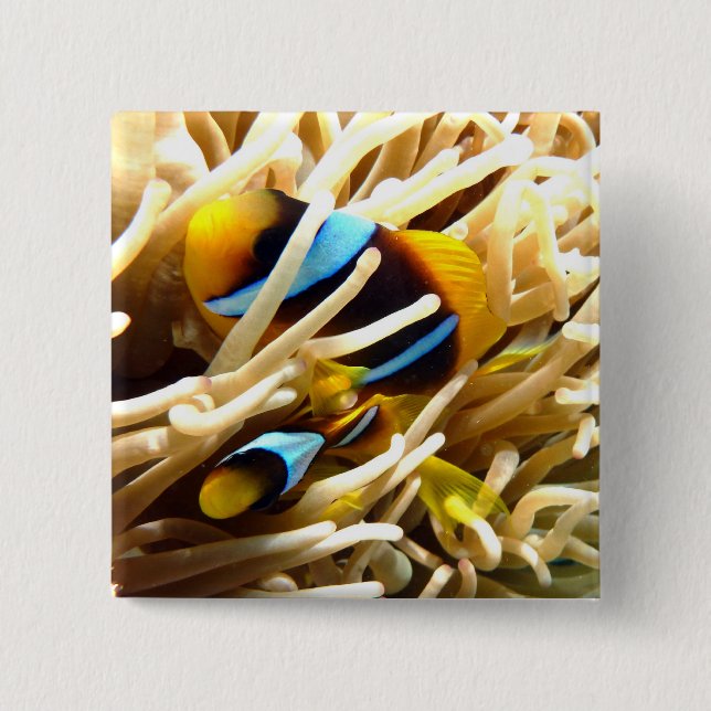 Clown Fish 15 Cm Square Badge (Front)