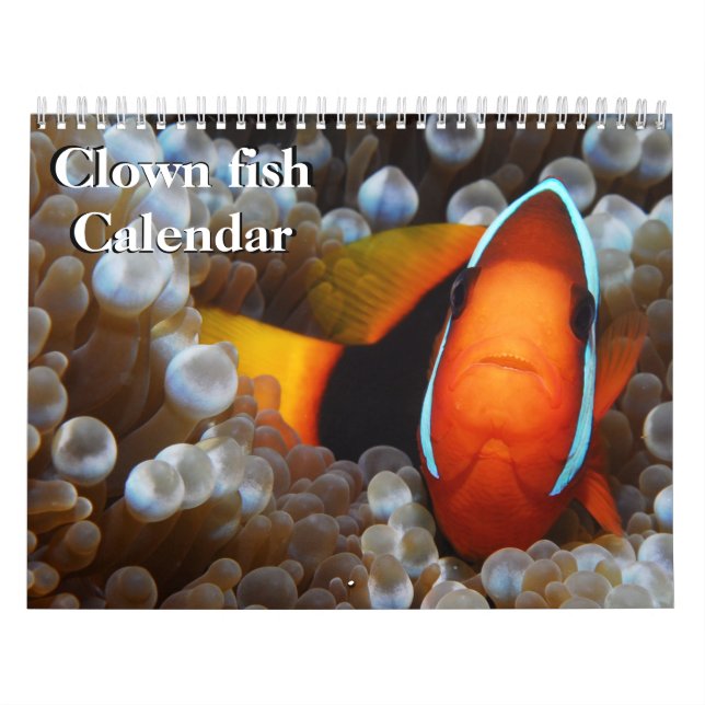 Clown Fish 2026 Calendar (Cover)