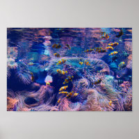 Clown Fish and purple aquarium