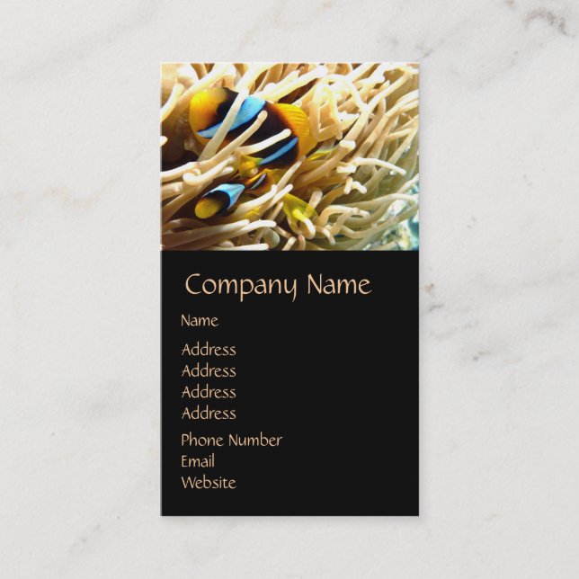 Clown Fish Business Cards (Front)