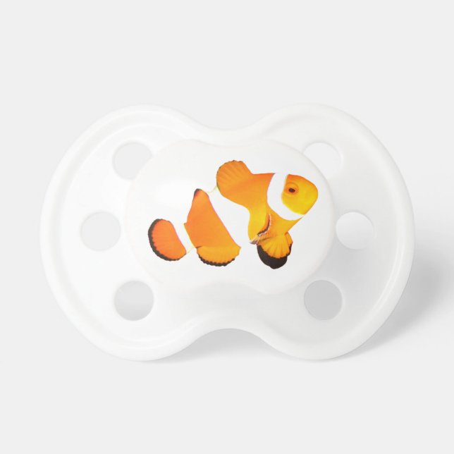 Clown Fish Dummy (Front)