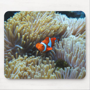 Clown Fish in a Coral Reef Mouse Mat