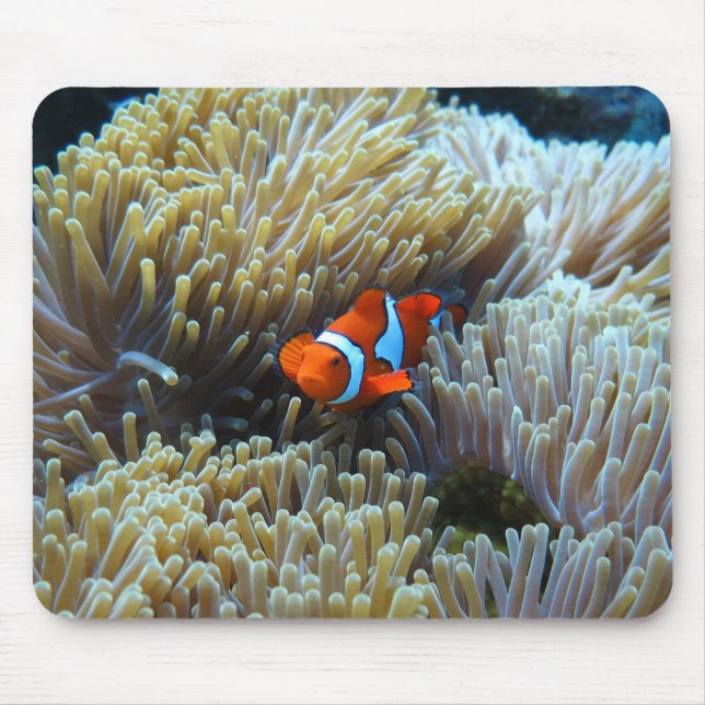 Clown Fish in a Coral Reef Mouse Mat (Front)