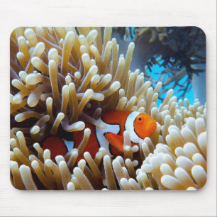 Clown Fish in a Coral Reef Mouse Mat