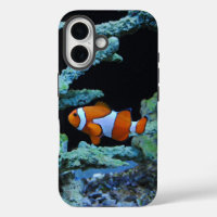 Clown Fish in Coral