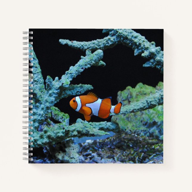 Clown Fish in Coral Notebook (Front)