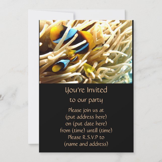 Clown Fish Invitation (Front)