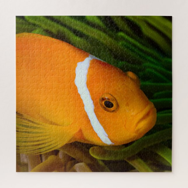 Clown Fish Jigsaw Puzzle (Vertical)
