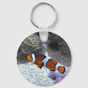 clown fish key ring
