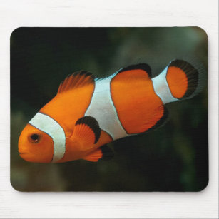 Clown Fish Mouse Mat