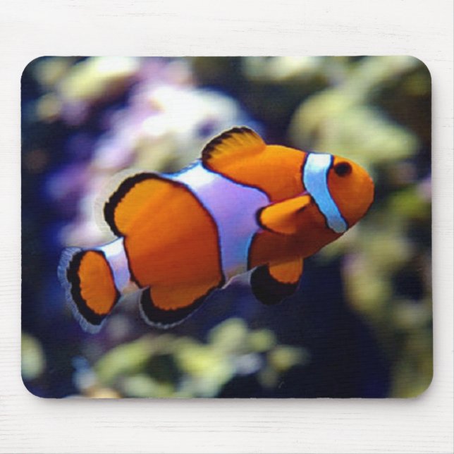 clown fish mouse mat (Front)