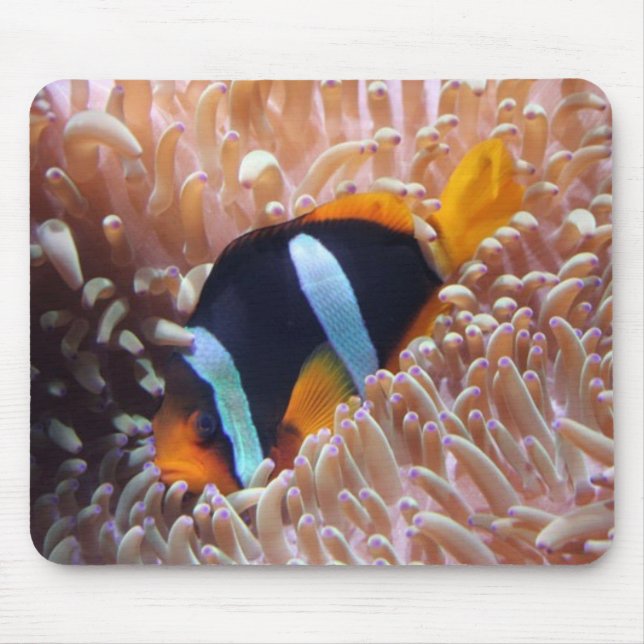 Clown Fish Mouse Mat (Front)