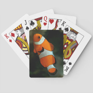 Clown Fish Playing Cards