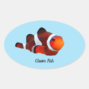 Clown Fish Sticker