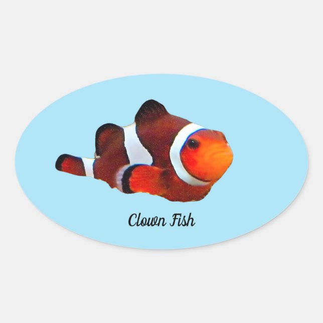 Clown Fish Sticker (Front)