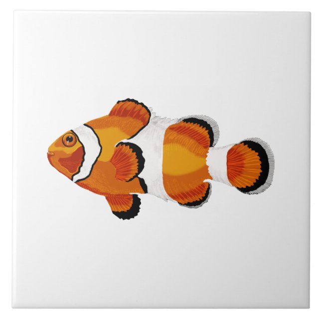 Clown fish tile (Front)