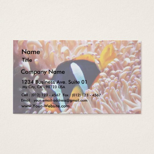 Clown Fish Tropical Fish Business Card