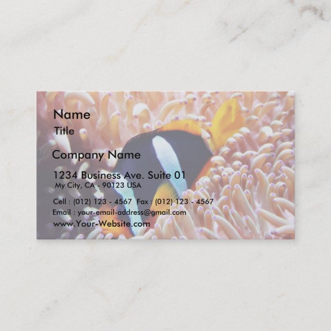 Clown Fish Tropical Fish Business Card (Front)