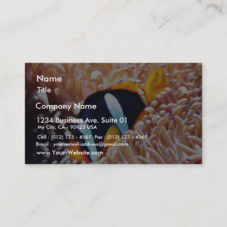 Clown Fish Tropical Fish Business Card