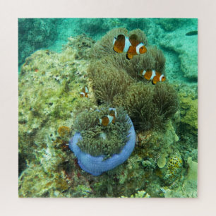 Clown Fishes Jigsaw Puzzle
