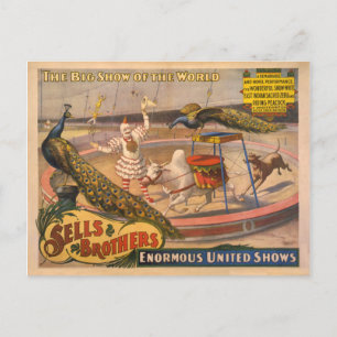 Clown, Zebu and Peacock Circus Poster Postcard