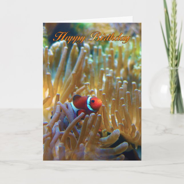 Clownfish Birthday Card - Photography Card - Happy (Front)