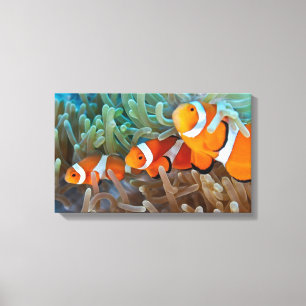 Clownfish Canvas Print