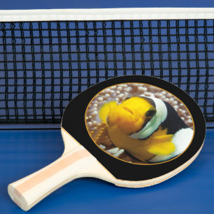 Clownfish - Close-Up! Round Photographic Design Ping Pong Paddle