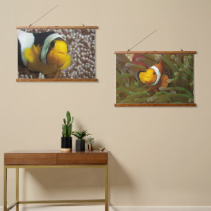 Clownfish - Close-Up! So cute - Nemo in Anemone Hanging Tapestry