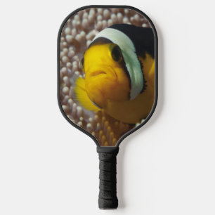 Clownfish - Close-Up! So cute - Nemo in Anemone Pickleball Paddle