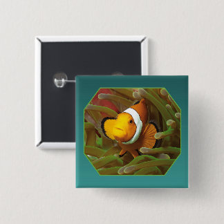 Clownfish in green anemone. Photographic Design |  15 Cm Square Badge