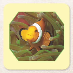 Clownfish in green anemone. Photographic Design Square Paper Coaster