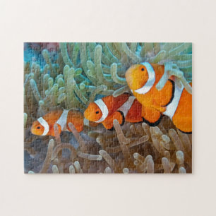 Clownfish Jigsaw Puzzle