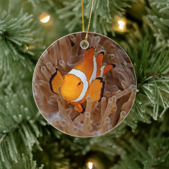 Clownfish - Molokai, North Shore Cliff Ceramic Tree Decoration (Tree)