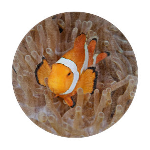 Clownfish - Molokai, North Shore Cliff Cutting Board