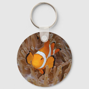 Clownfish - Molokai, North Shore Cliff Key Ring