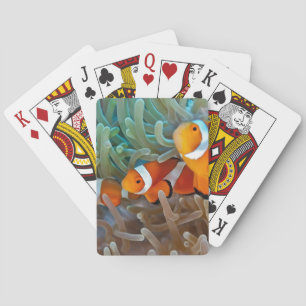 Clownfish Playing Cards