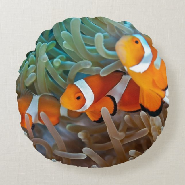 Clownfish Round Cushion (Front)