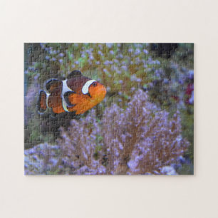 Clownfish Sea Anemone Coral Underwater photograph Jigsaw Puzzle