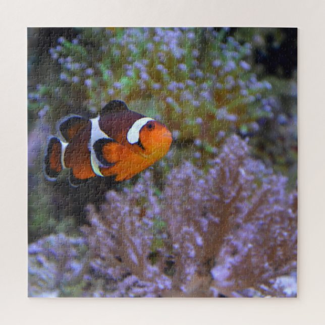 Clownfish Sea Anemone Coral Underwater photography Jigsaw Puzzle (Vertical)