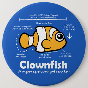 Clownfish Statistics 6 Cm Round Badge