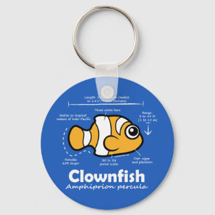 Clownfish Statistics Key Ring
